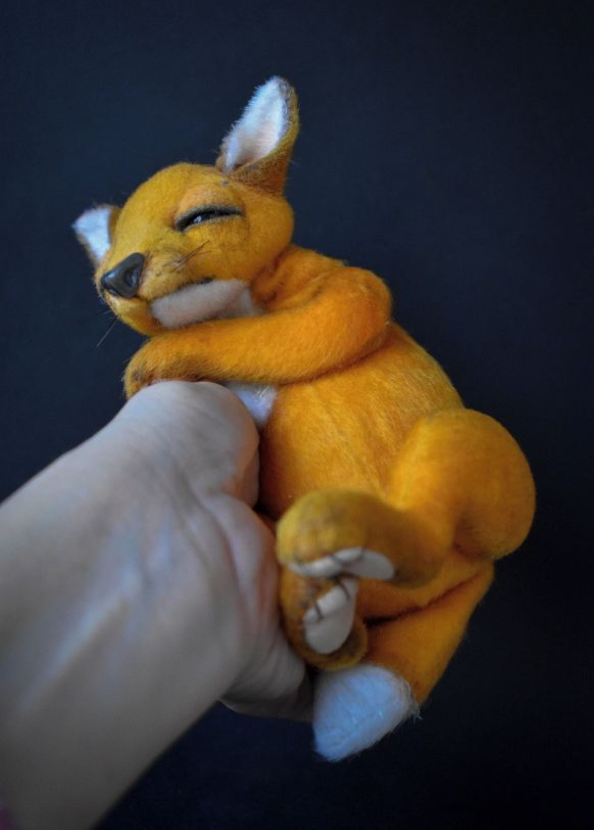 Beloved Fox and Little Rabbit