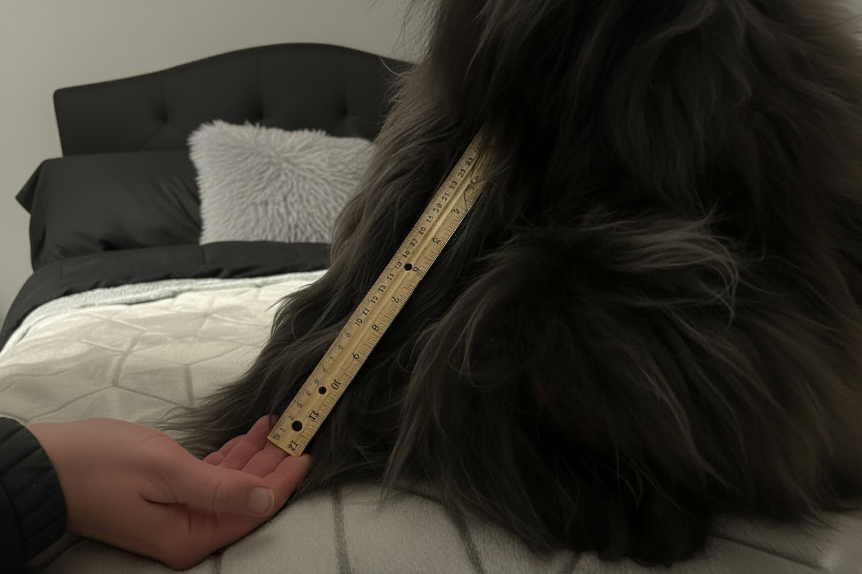 Michelangelo- Ultimate Comfort & Luxuriously Soft Hugs