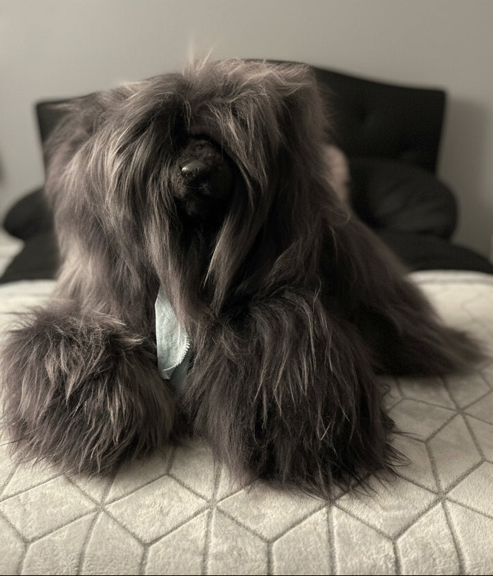 Michelangelo- Ultimate Comfort & Luxuriously Soft Hugs