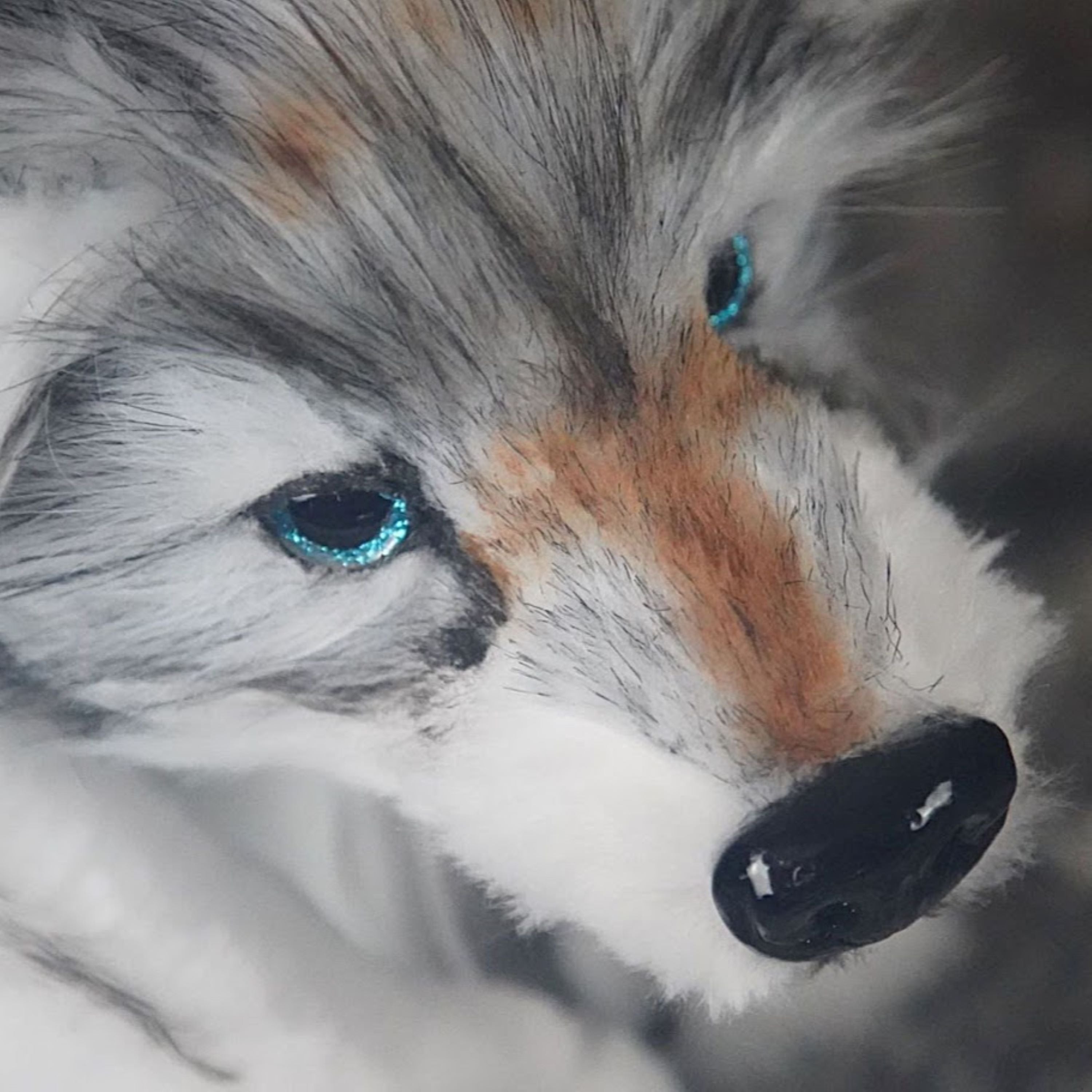 Enchanting Baby Wolf- Sky