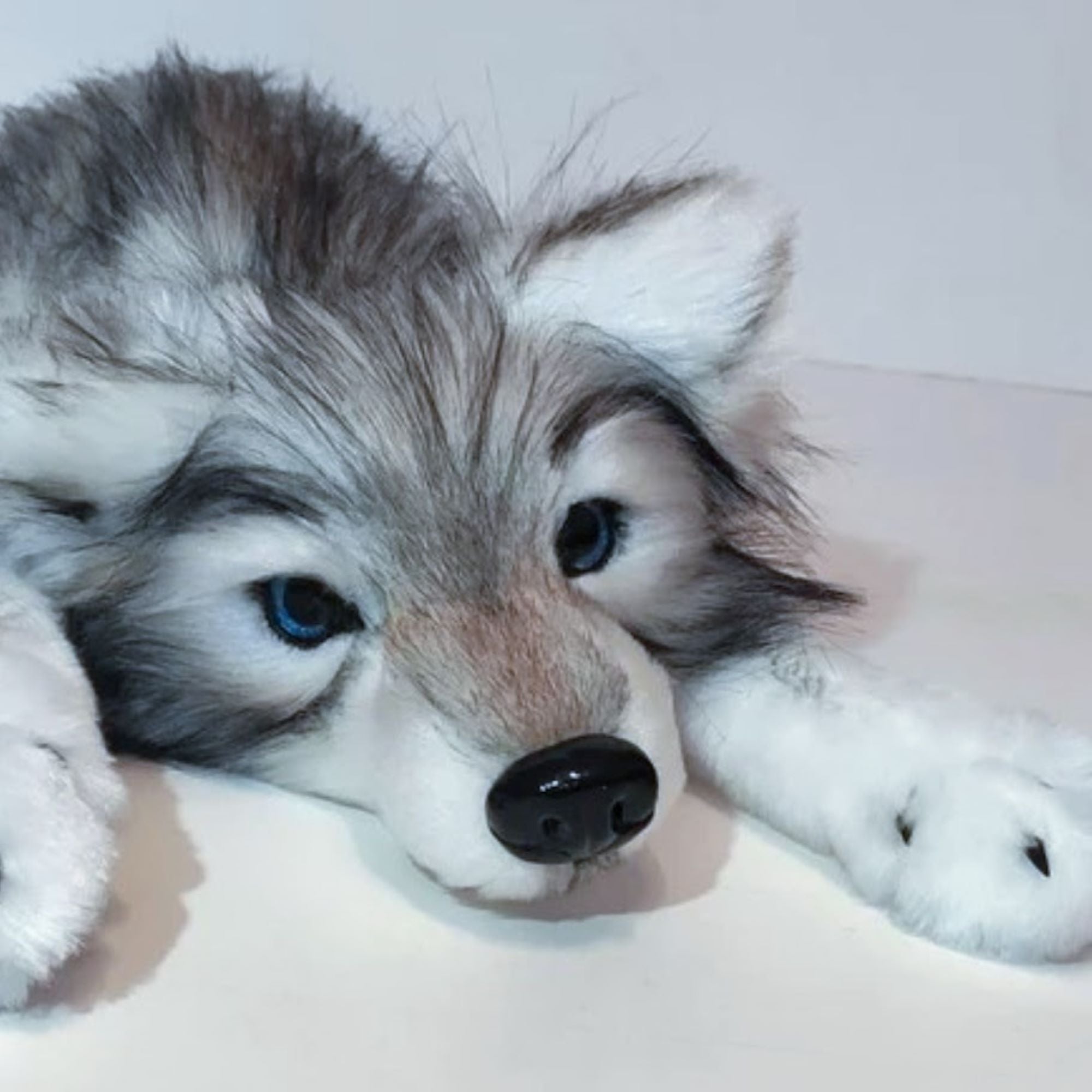 Enchanting Baby Wolf- Sky
