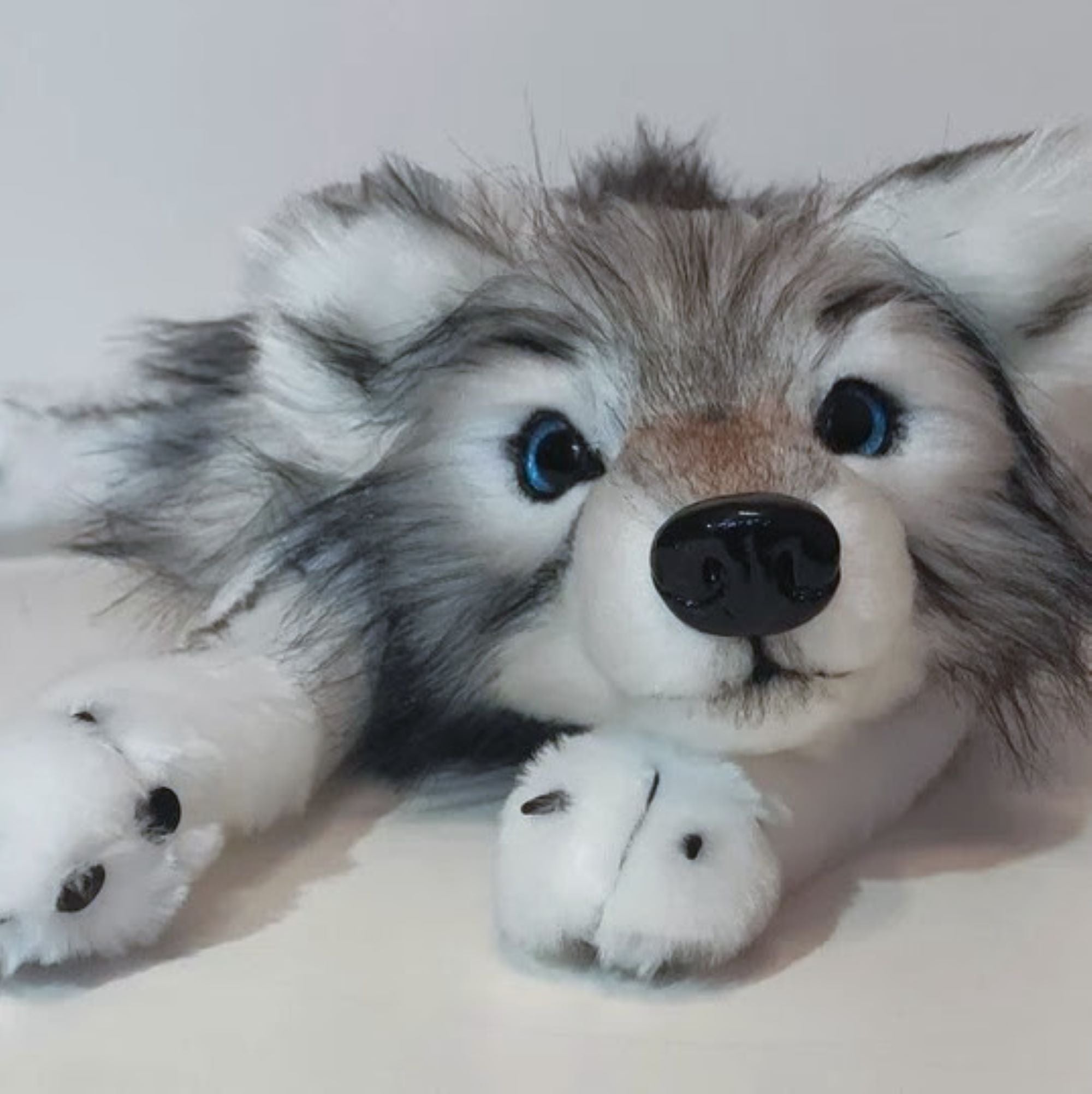 Enchanting Baby Wolf- Sky
