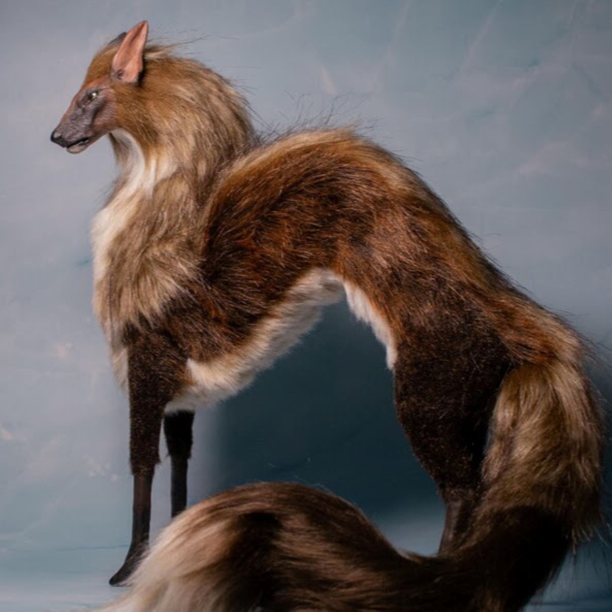 Dragon of the Forest's Edge- Vyrethal