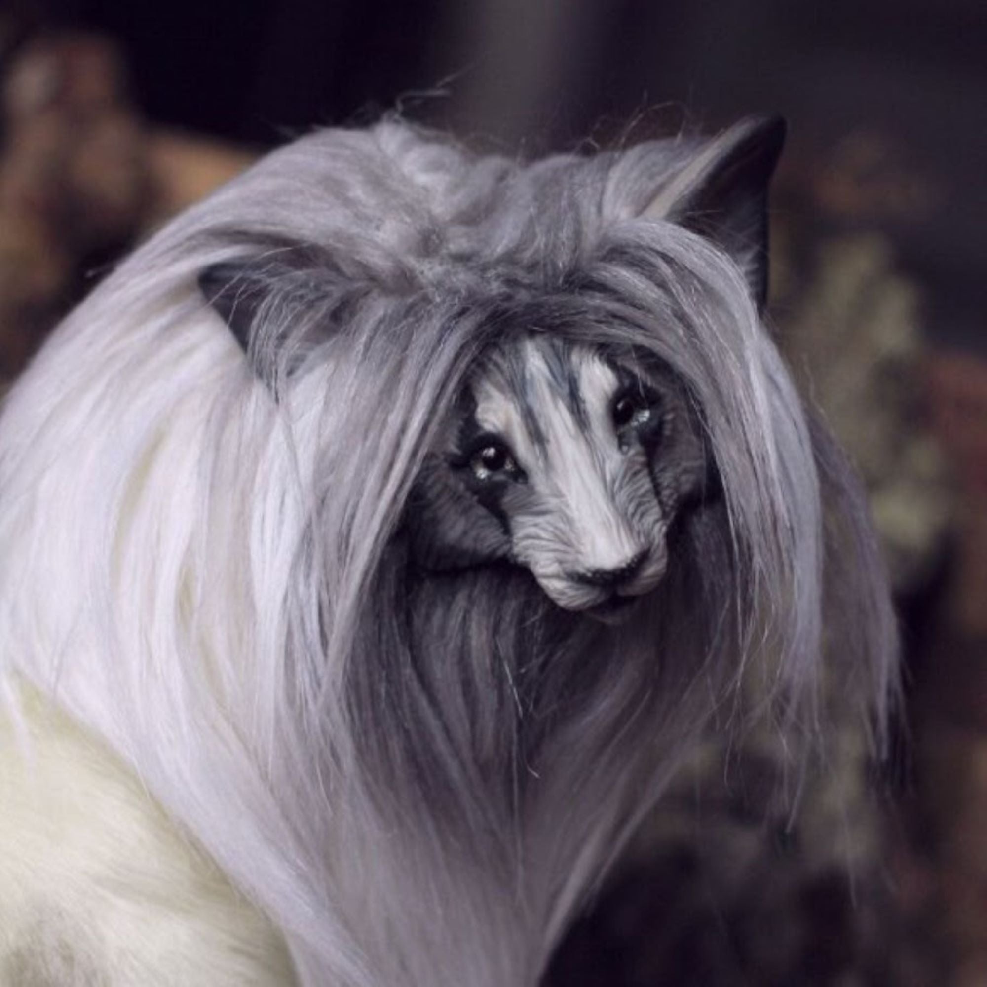 Noble Wolf of Majestic Beauty- Spirit Wolf Eric
