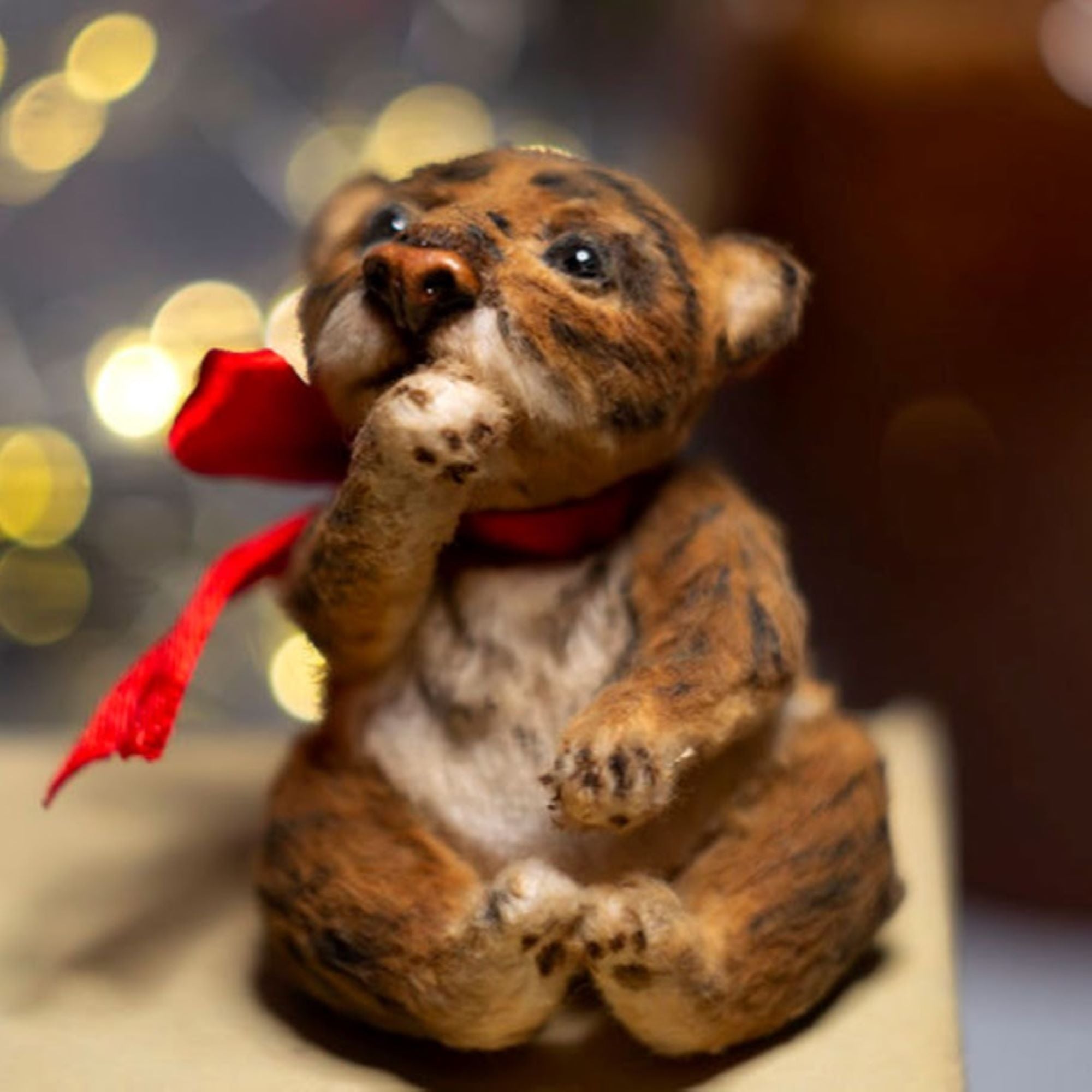Miniature Tiger Cub