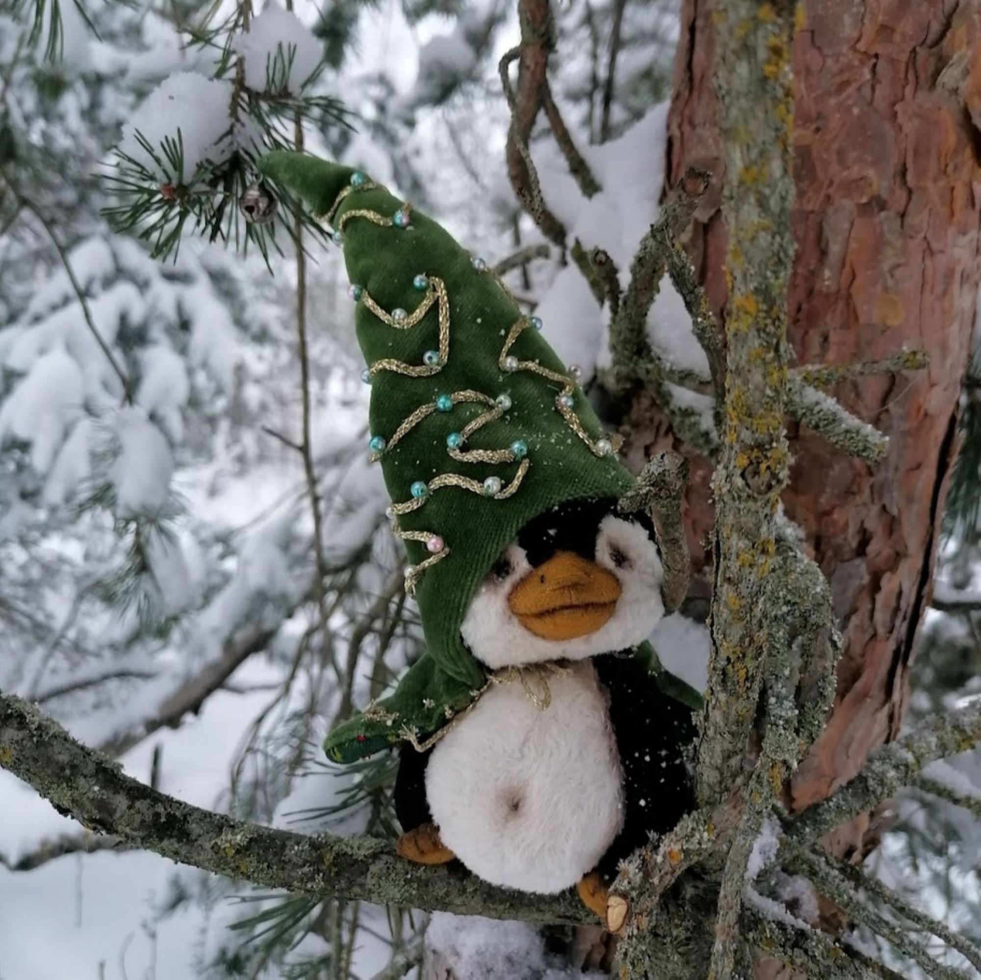 Maks the Rare Forest Penguin