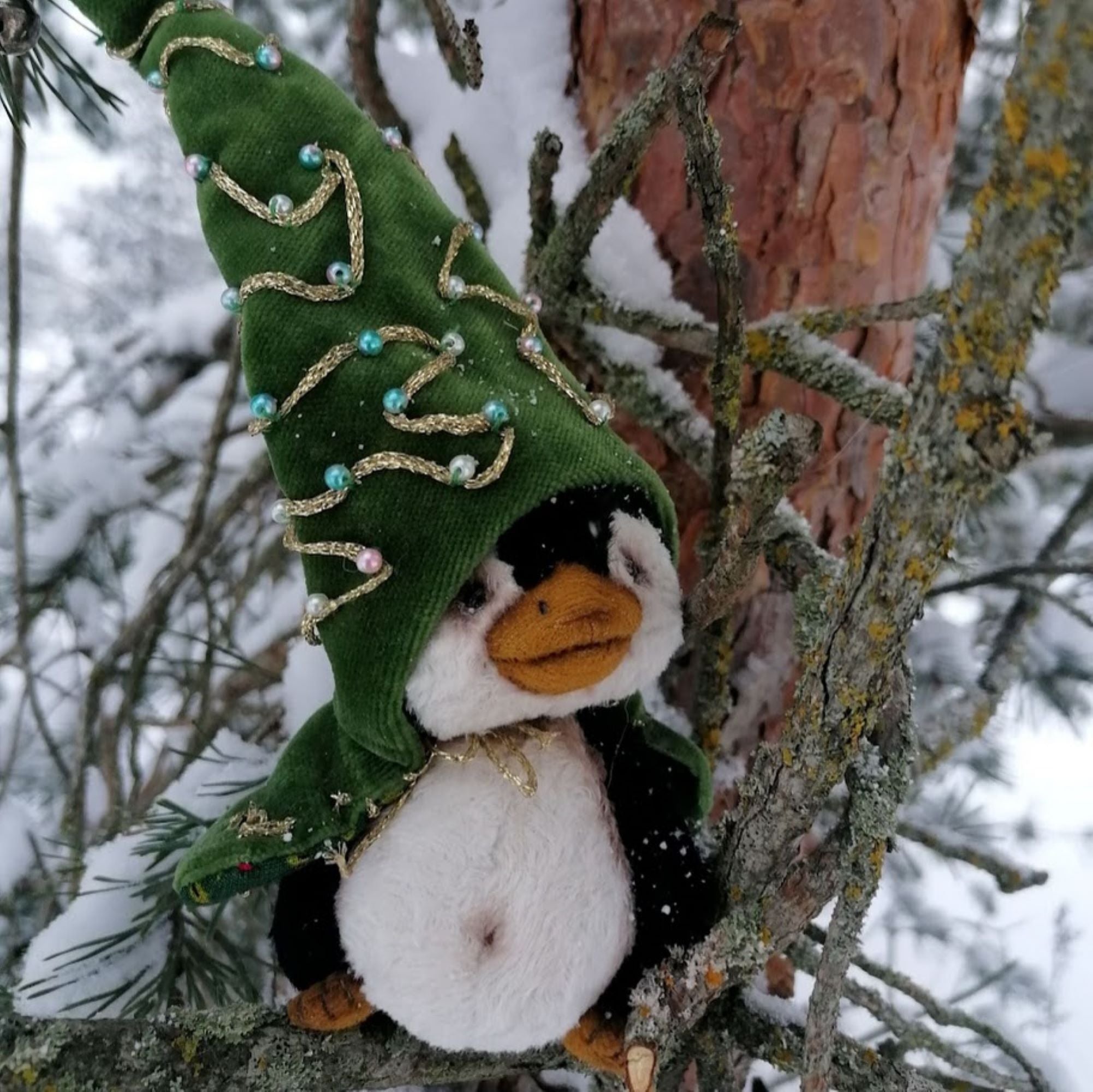 Maks the Rare Forest Penguin