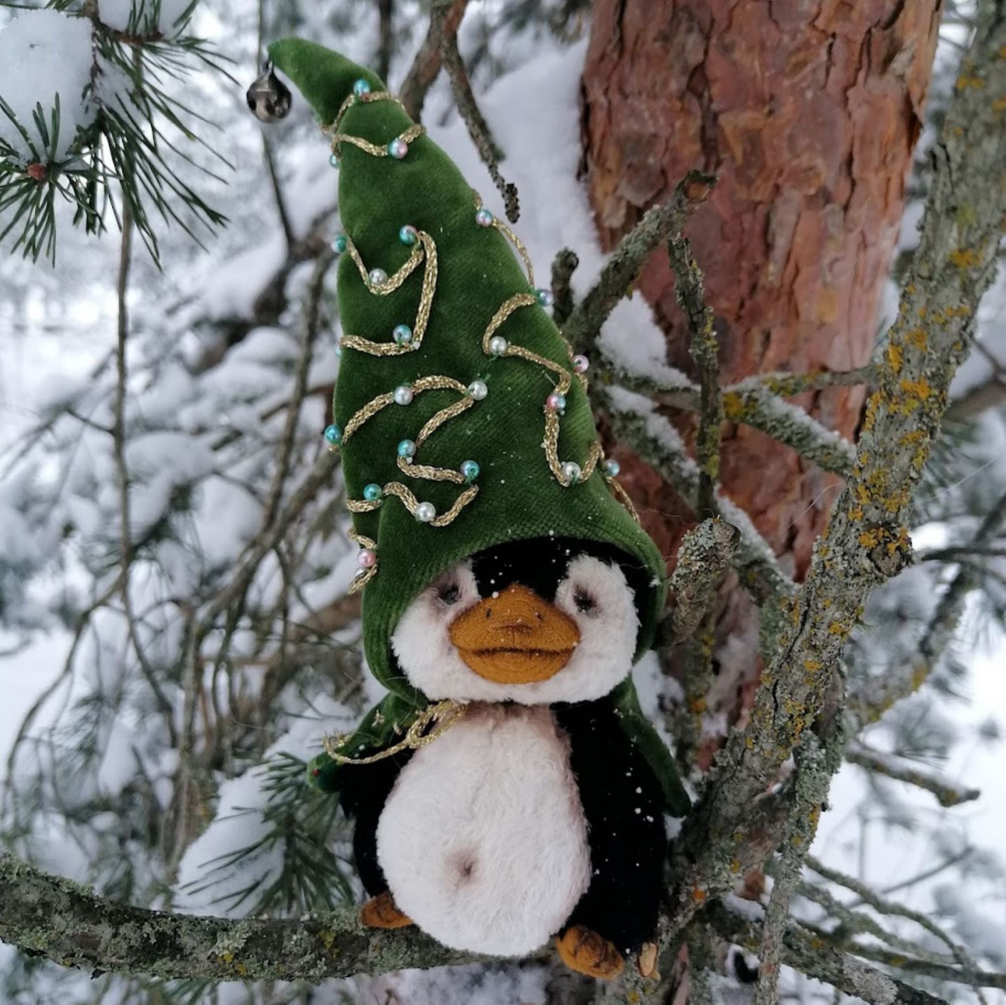 Maks the Rare Forest Penguin