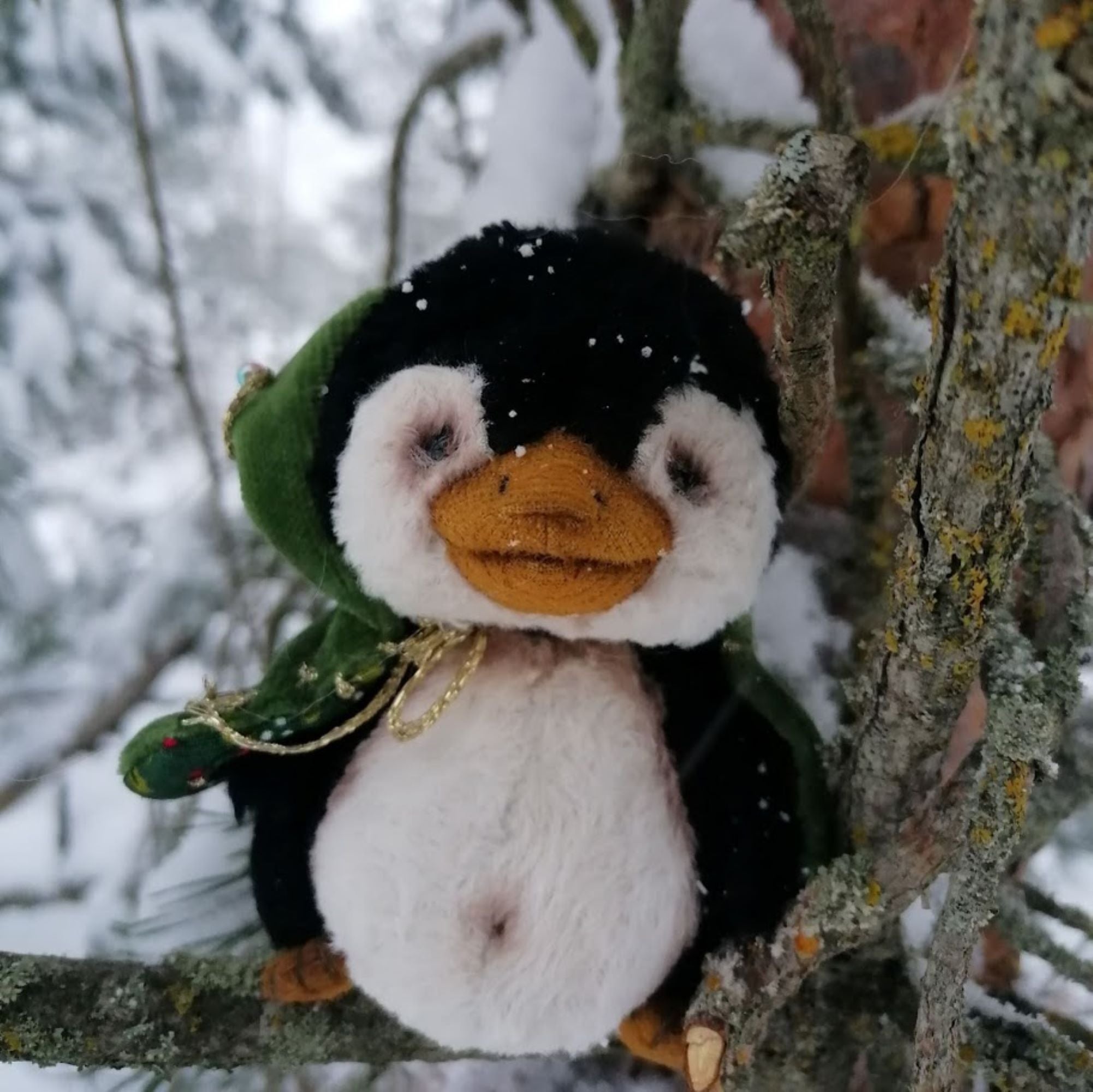 Maks the Rare Forest Penguin
