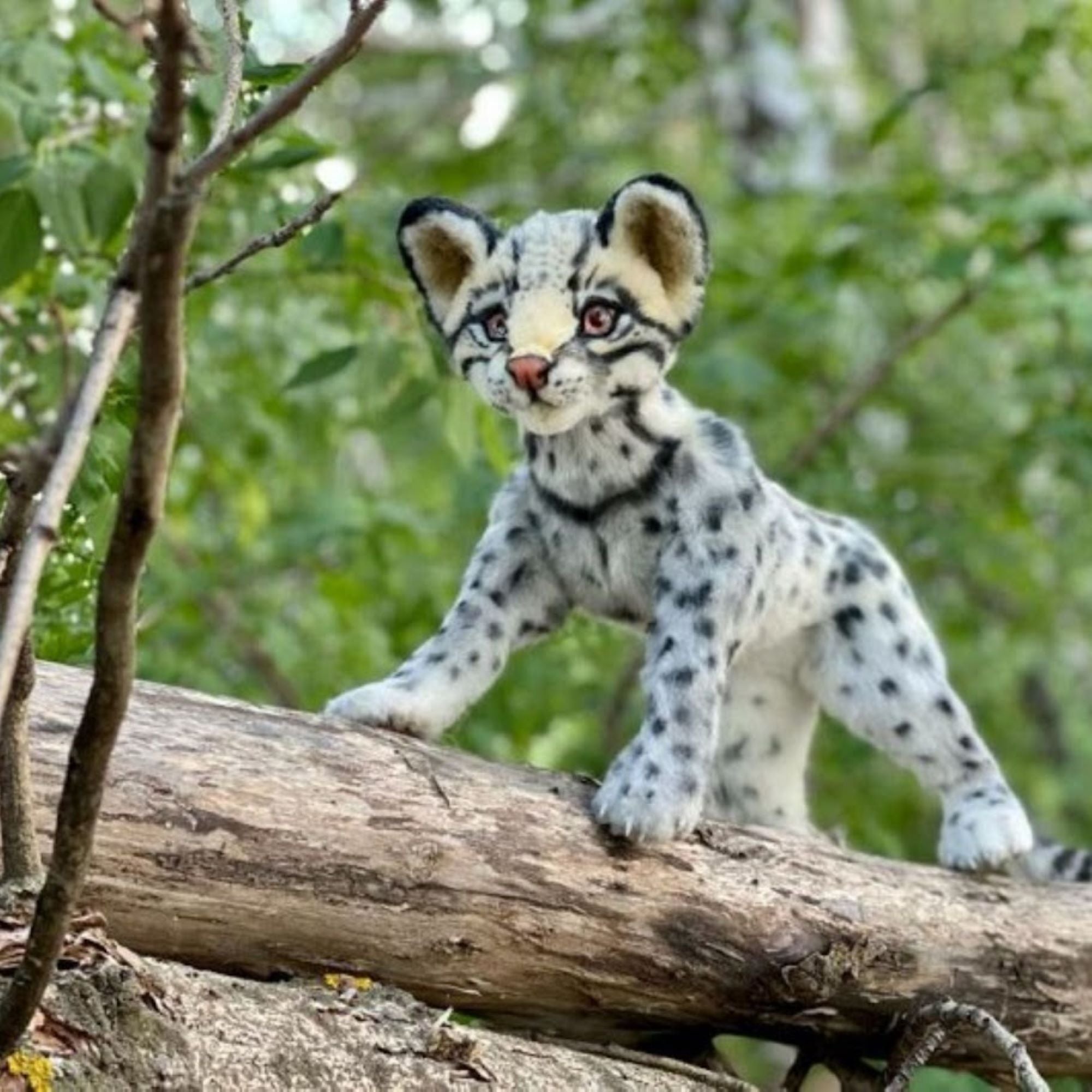 Ocelot Kitten- A Lifelike Exotic Beauty