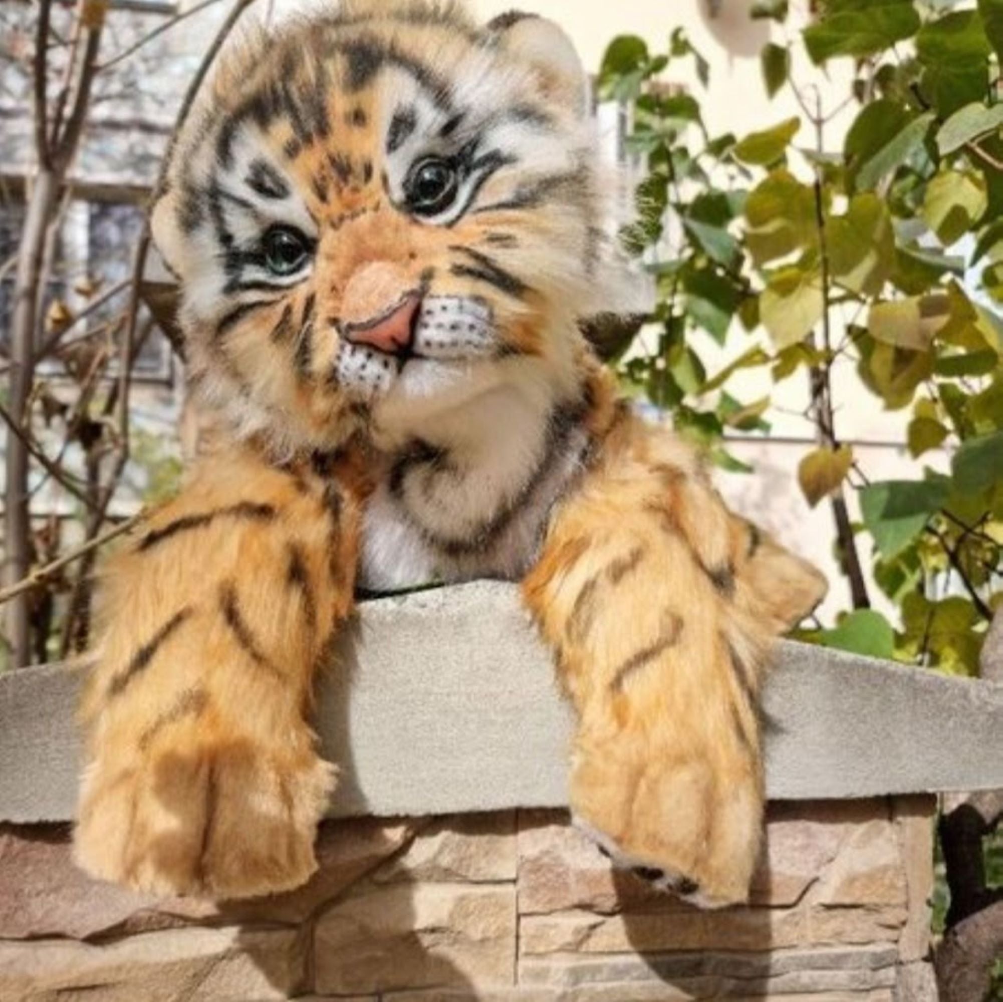 Plush Baby Tiger- Sweet Wild Grace