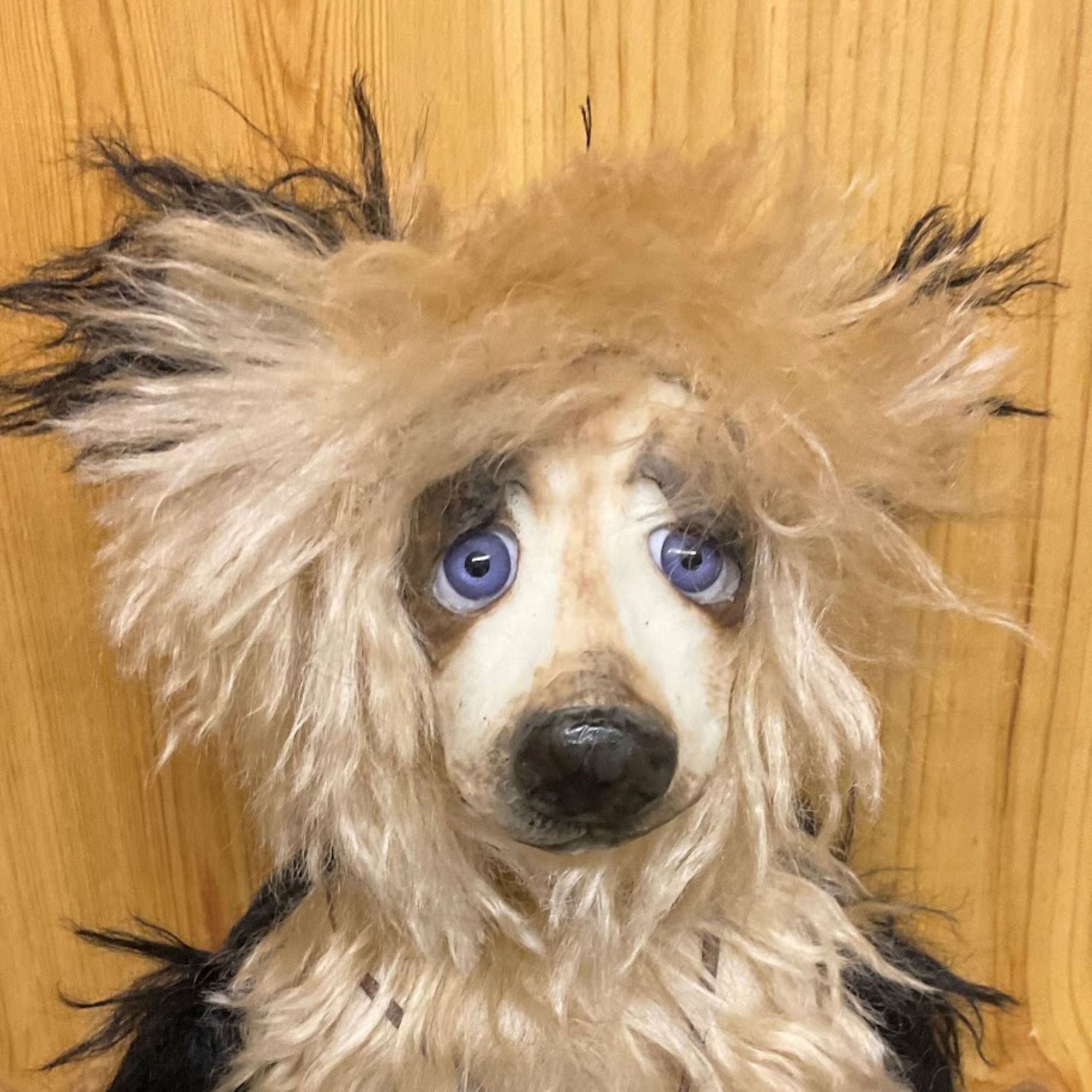 The Artful Teddy Bear- Wynn