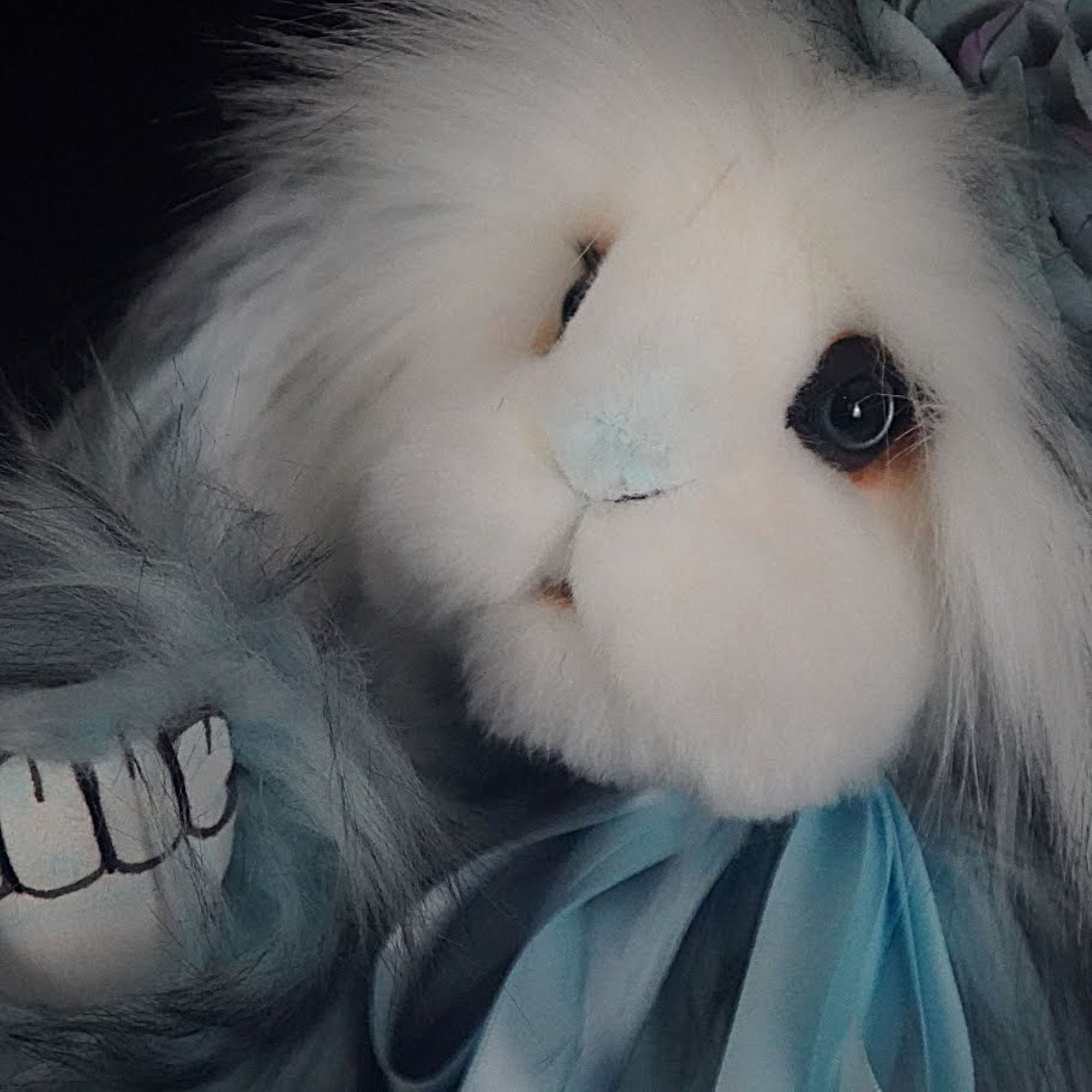 Angelica- The Incredibly Soft and Cuddly Bunny