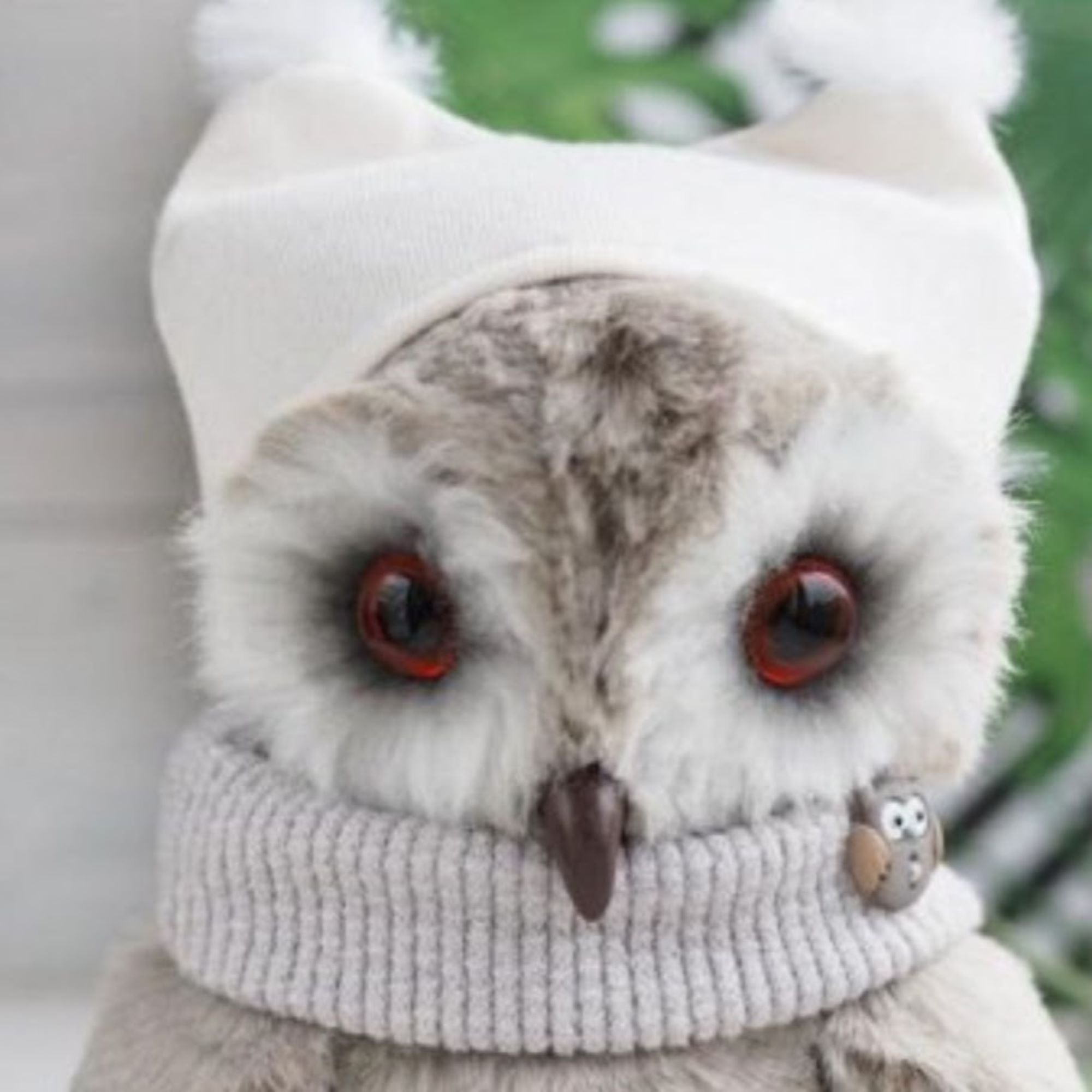 Glasha: The Sweet Baby Owl of the Forest