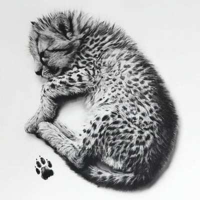 baby paws