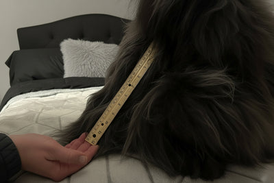 Michelangelo- Ultimate Comfort & Luxuriously Soft Hugs