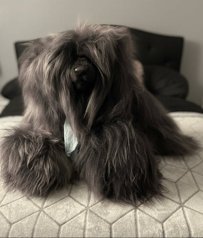 Michelangelo- Ultimate Comfort & Luxuriously Soft Hugs