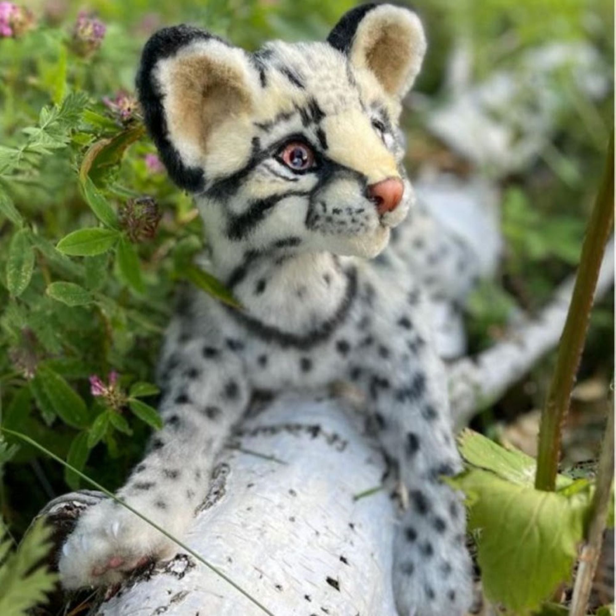 Ocelot Kitten- A Lifelike Exotic Beauty
