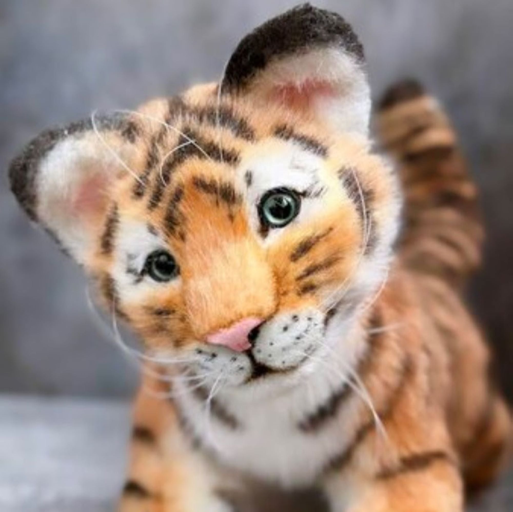 Tiger Cub- A Playful Companion
