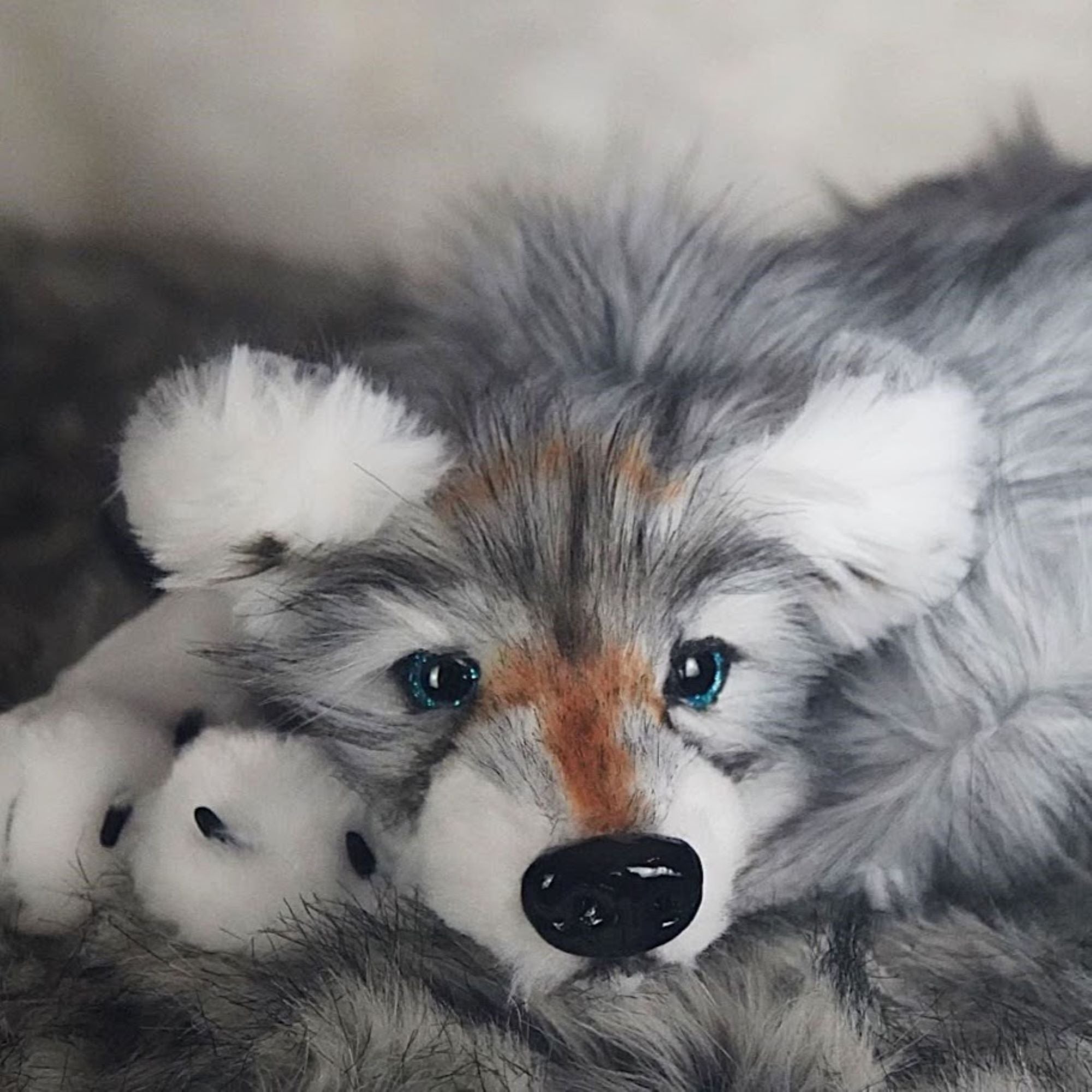 Enchanting Baby Wolf- Sky