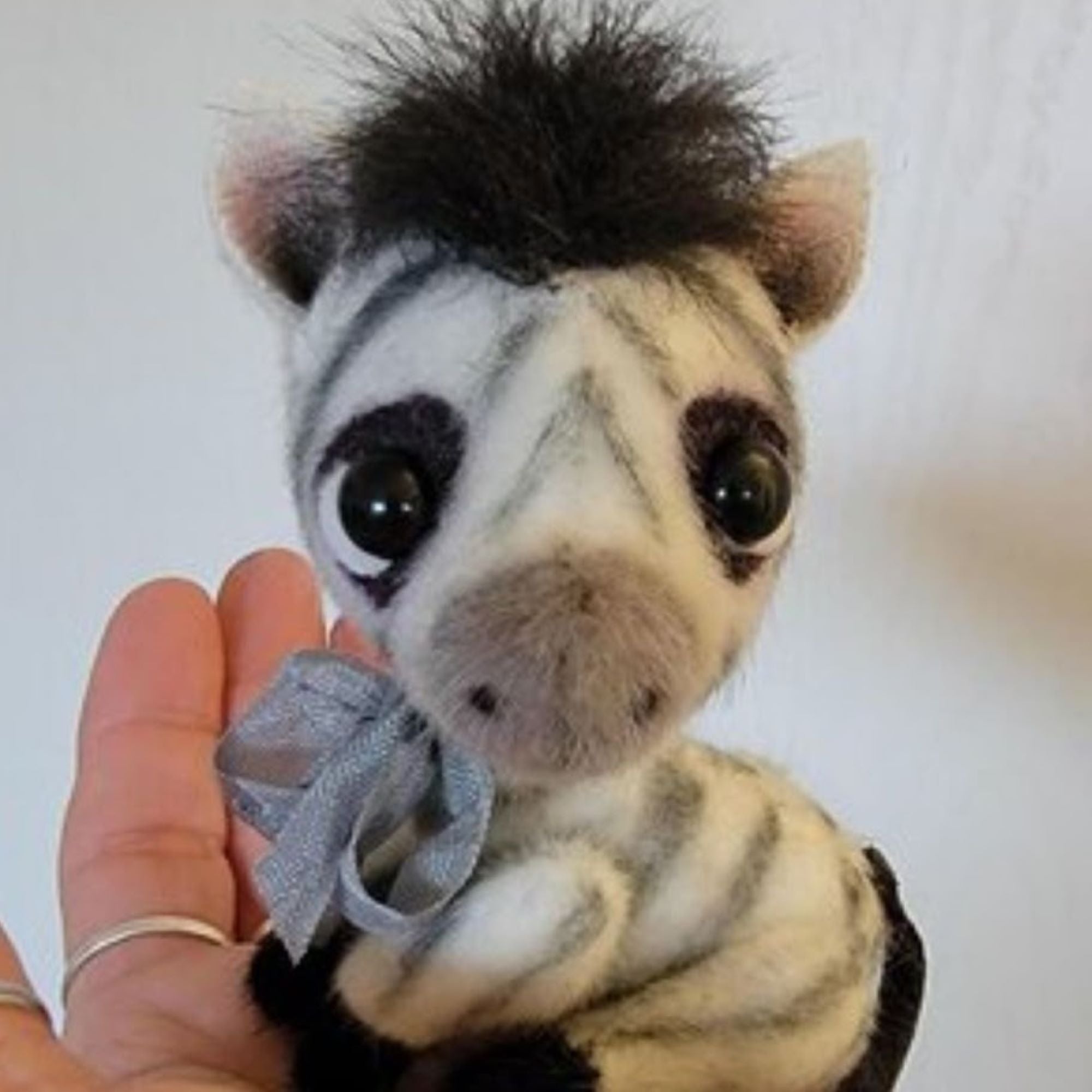 Little Baby Zebra