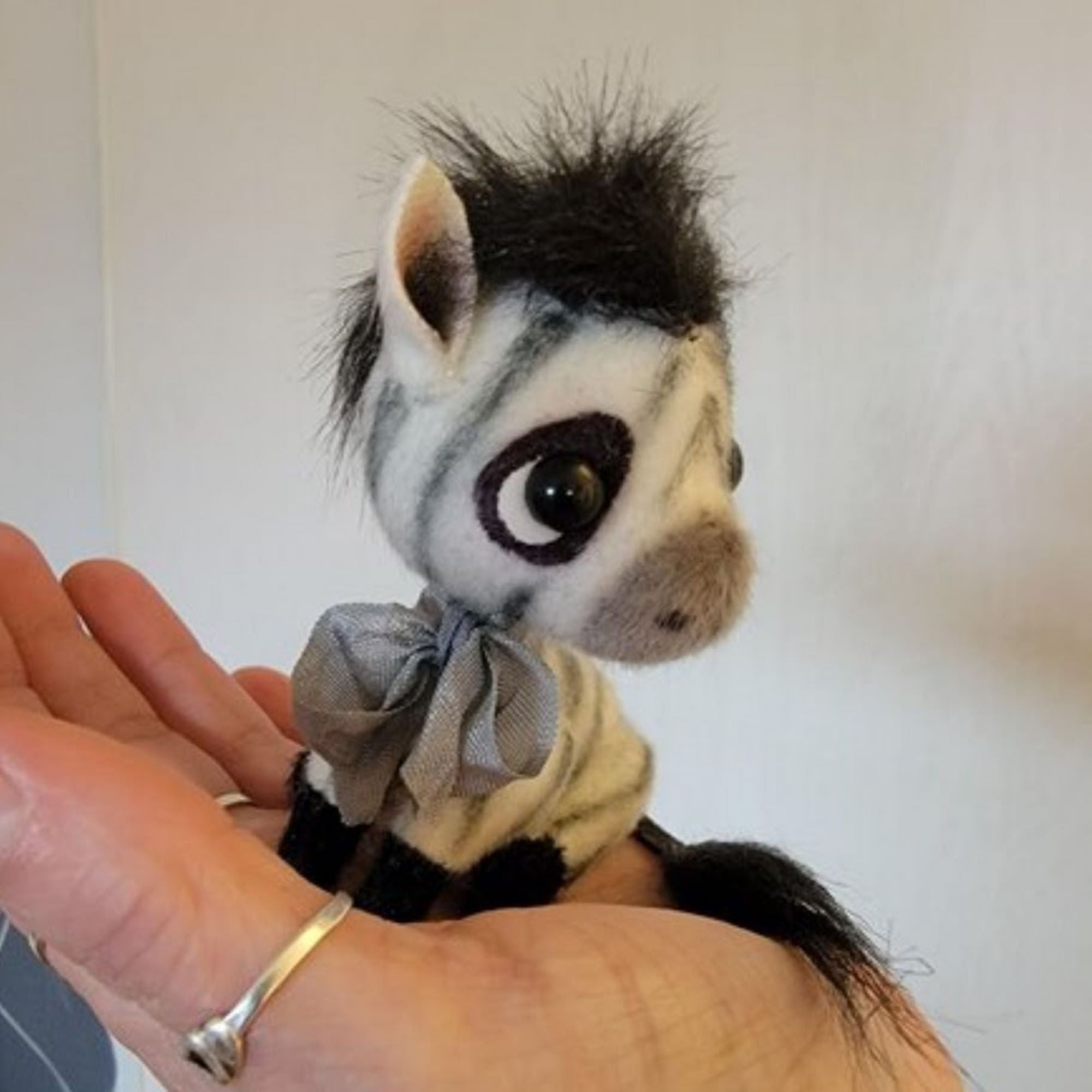 Little Baby Zebra