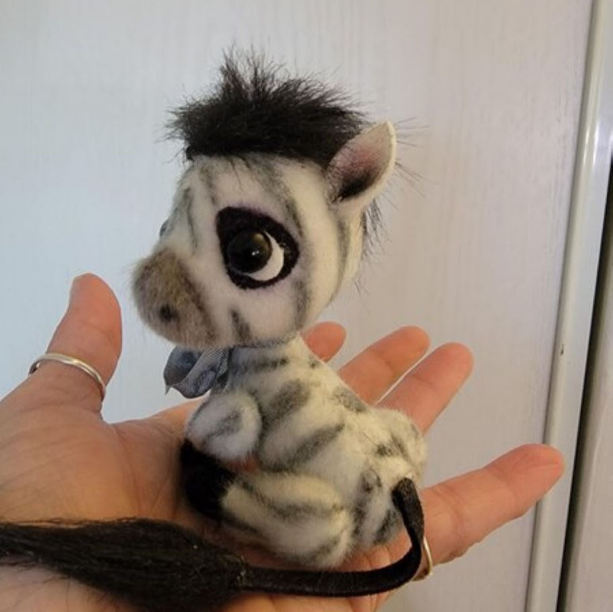 Little Baby Zebra