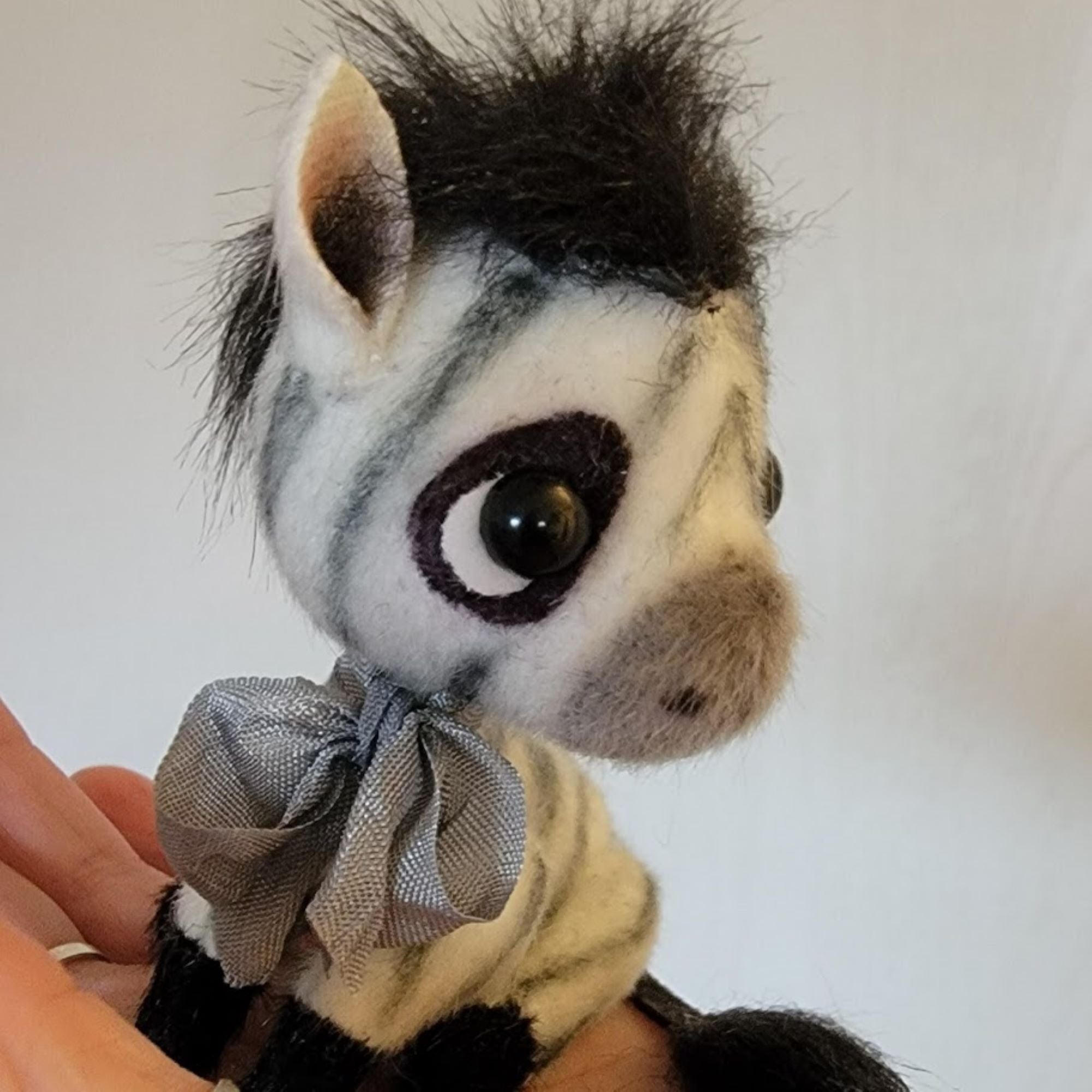 Little Baby Zebra